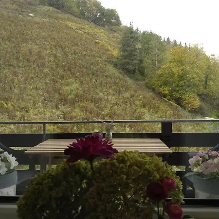 Lägenhet Talblick Ii Cochem